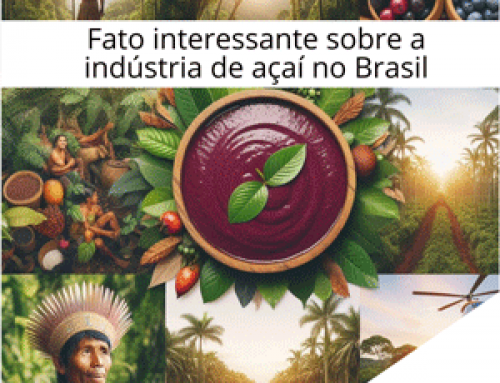 Fato interessante sobre a produção de açaí no Brasil